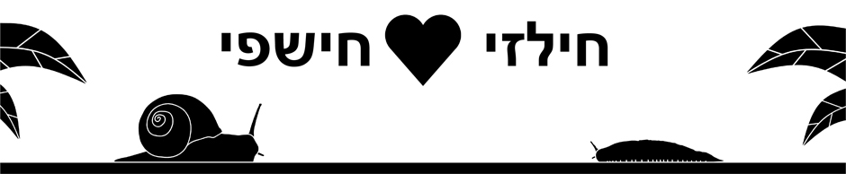 חילזי וחישפי  סיפור אהבה